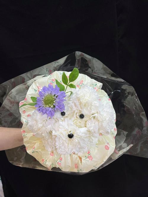 卖小狗花束月入3万,卖小狗花束月入3万怎么样